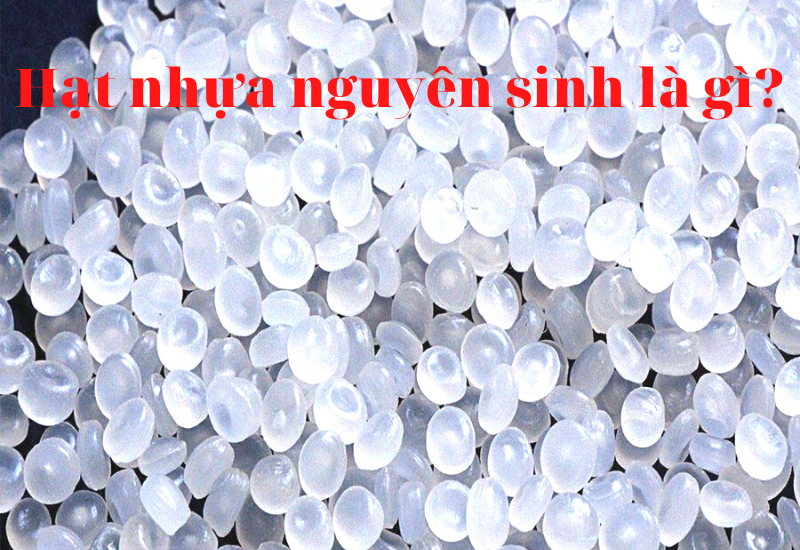 Hat nhua nguyen sinh la gi