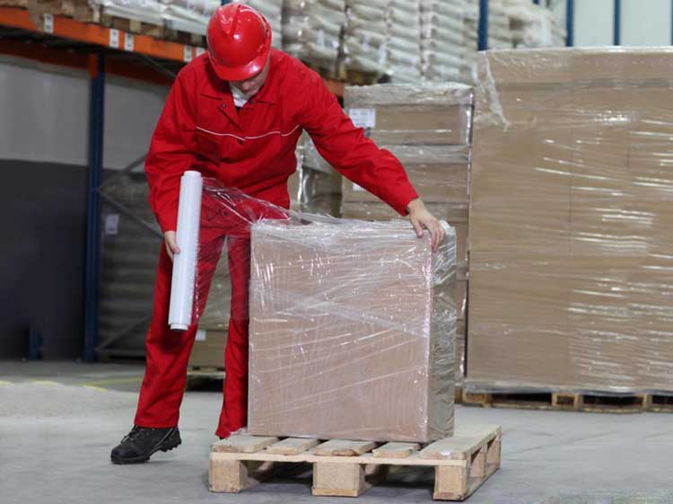 gia mang pe quan pallet